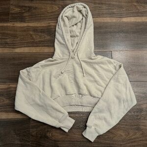 Aritzia TNA Cropped Hoodie